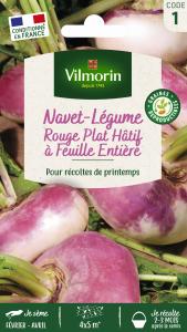 Navet-Légume Rouge Plat Hâtif à Feuille Entière